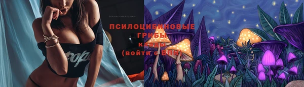 трава Алзамай