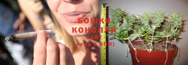 трава Алзамай