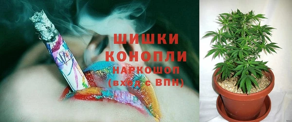 трава Алзамай