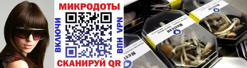 Галлюциногенные грибы прущие грибы  Приморск 